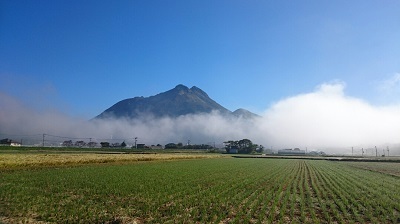 朝霧由布岳